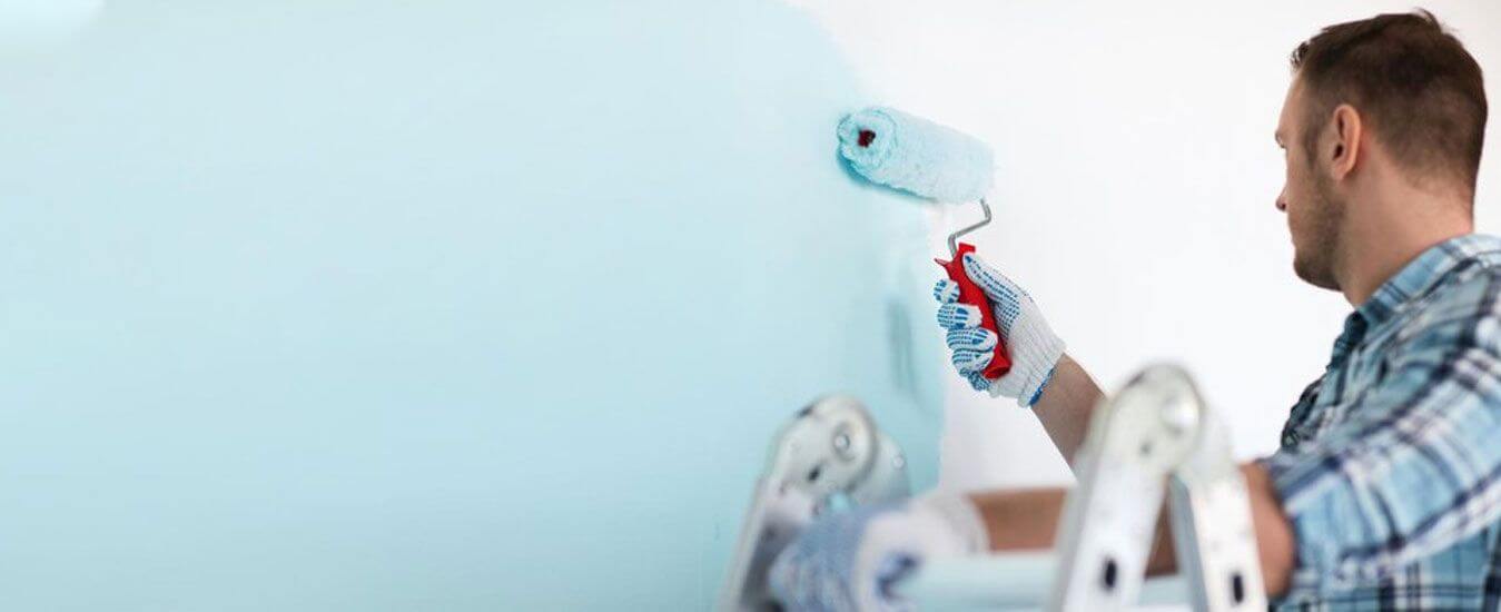 Painters Wellington Top Painting Company SN Quality